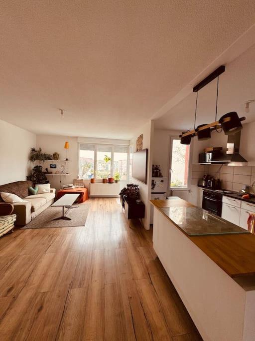 Bel Appartement Proche Mulhouse Pfastatt Buitenkant foto